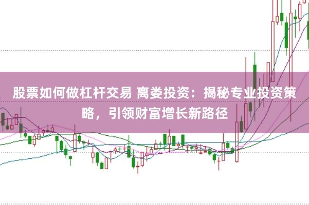 股票如何做杠杆交易 离娄投资：揭秘专业投资策略，引领财富增长新路径