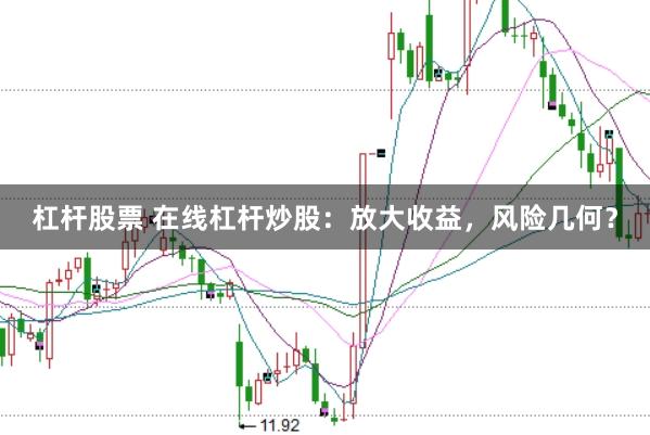 杠杆股票 在线杠杆炒股：放大收益，风险几何？