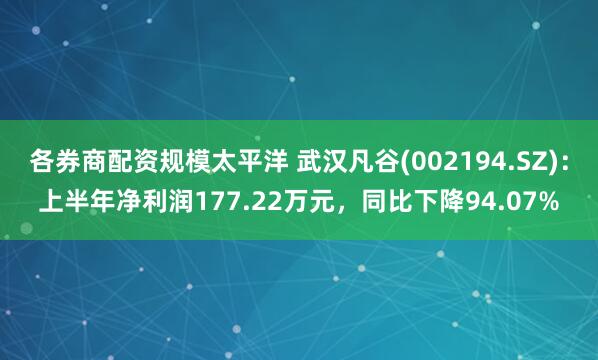 各券商配资规模太平洋 武汉凡谷(002194.SZ)：上半年净利润177.22万元，同比下降94.07%