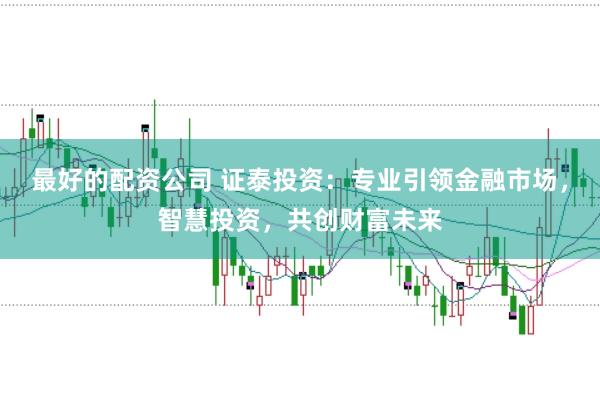 最好的配资公司 证泰投资：专业引领金融市场，智慧投资，共创财富未来