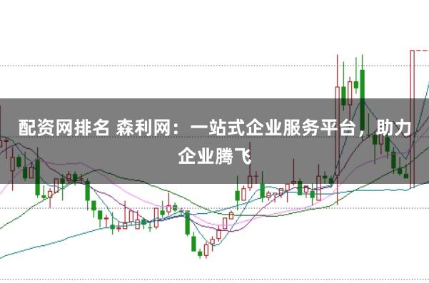 配资网排名 森利网：一站式企业服务平台，助力企业腾飞