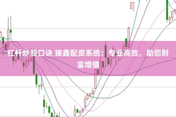 杠杆炒股口诀 臻鑫配资系统：专业高效，助您财富增值