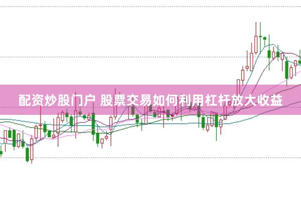 配资炒股门户 股票交易如何利用杠杆放大收益