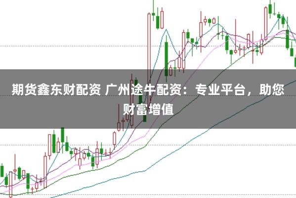 期货鑫东财配资 广州途牛配资：专业平台，助您财富增值