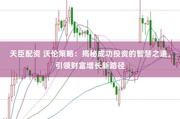 天臣配资 沃伦策略：揭秘成功投资的智慧之道，引领财富增长新路径