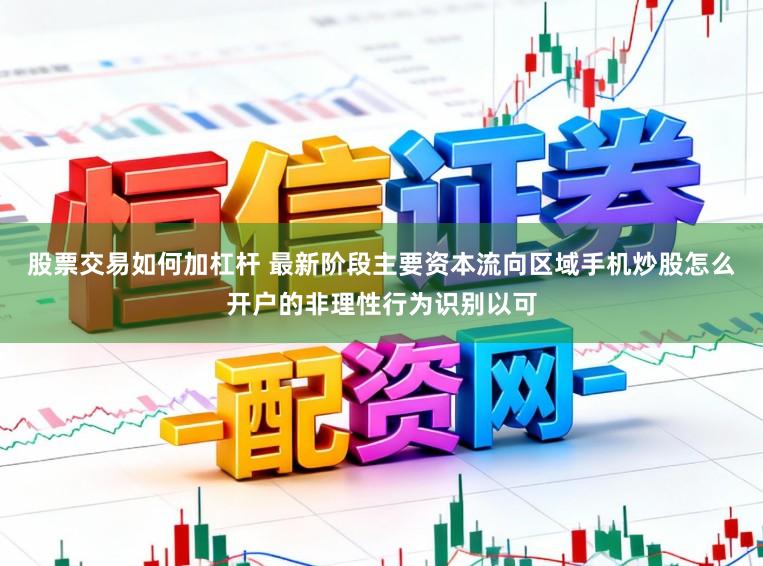 股票交易如何加杠杆 最新阶段主要资本流向区域手机炒股怎么开户的非理性行为识别以可