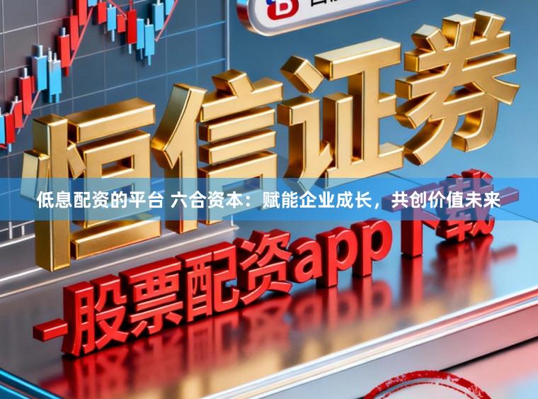 低息配资的平台 六合资本：赋能企业成长，共创价值未来